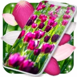 spring petals live wallpaper android application logo